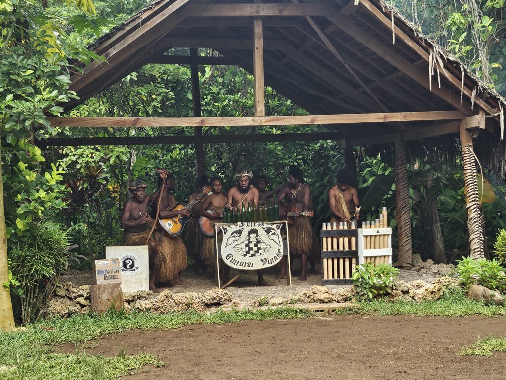 Snorkeling stop Efate Island Tour Vanuatu
Local village visit Efate Island cultural experience
Port Vila island tour scenic coastal drive
Freshwater swimming hole Efate Vanuatu tour stop