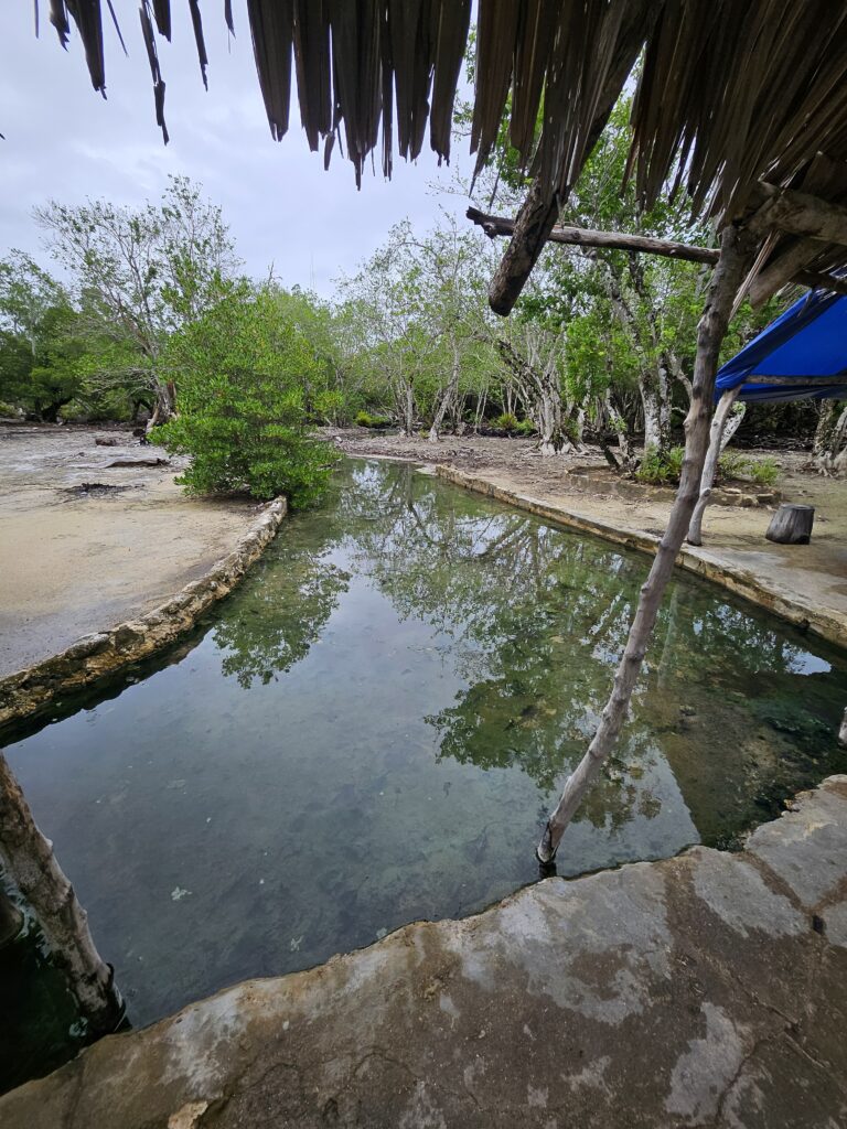Hot Springs Efate Vanuatu natural hot pools on the Port Vila island tour