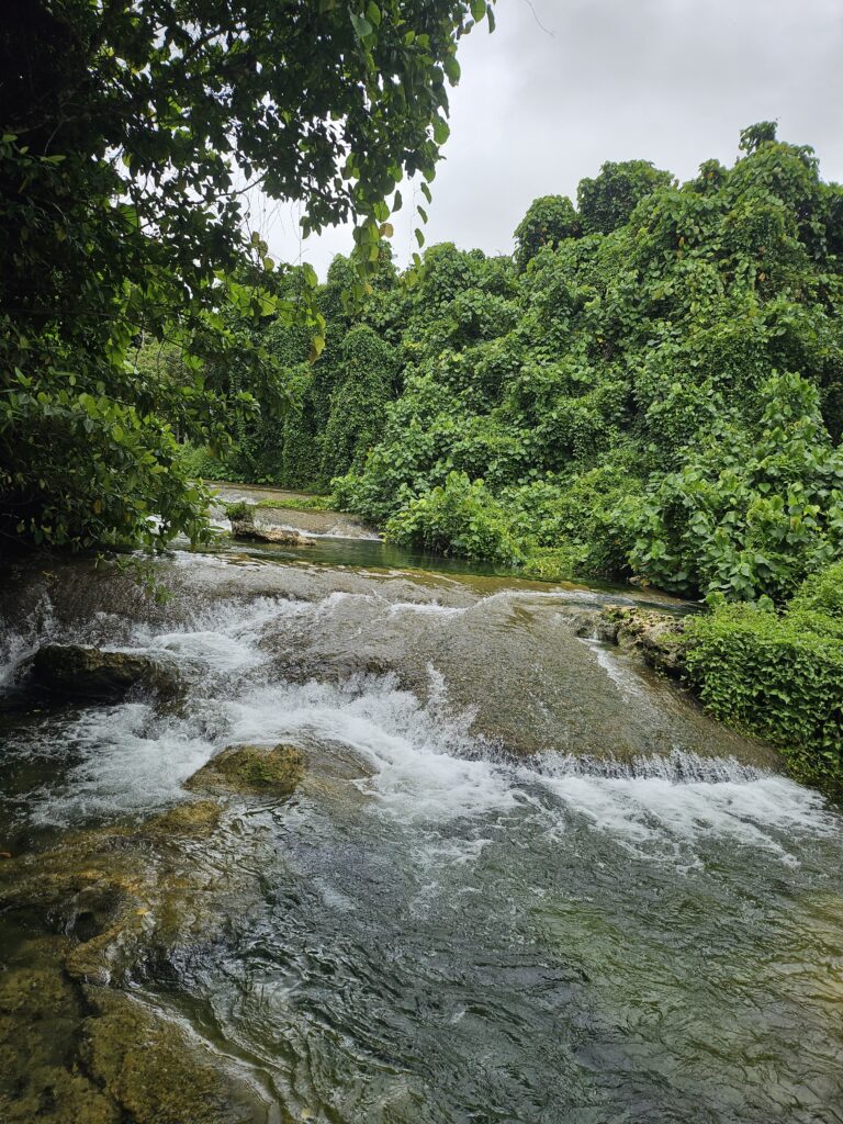 Waterfall Efate Island Vanuatu freshwater swimming stop on the Port Vila island tour
